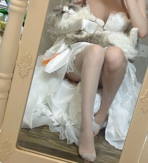 新相亲大会第二季